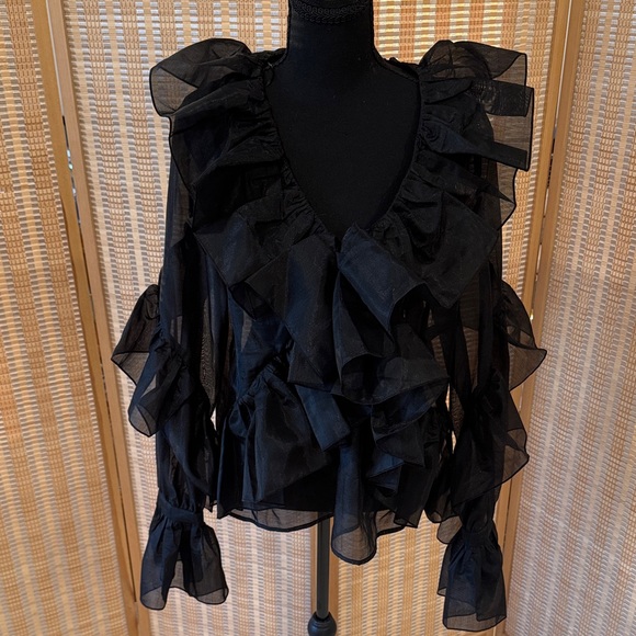 H&M Sheer Black Ruffled Blouse - Picture 4 of 9